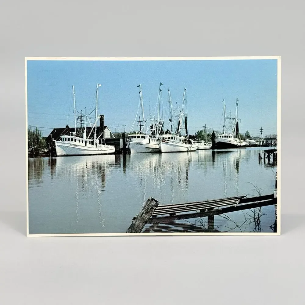 6 Unused Blank Louisiana Vintage Postcards Lot 3 Cajun Crawfish Raisin Cane